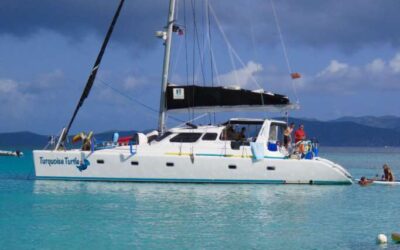 TURQUOISE TURTLE – Voyage 50 / Bahamas
