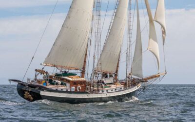 TREE OF LIFE – Yacht Charters New England